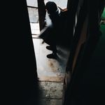 Brief rest period between active cycles